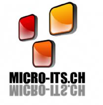 Micro ITS 