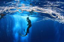 Freediving Dahab